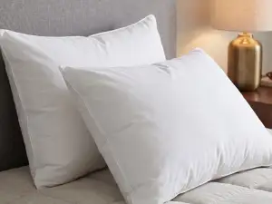 VZGLAVNIK IZ GOSJEGA PERJA 80% IN PUHA 20% 50X70 CM